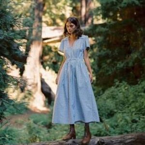 ISO Dawn Dress Size small: see description